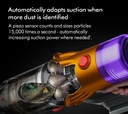 V12-2023 gallery 3