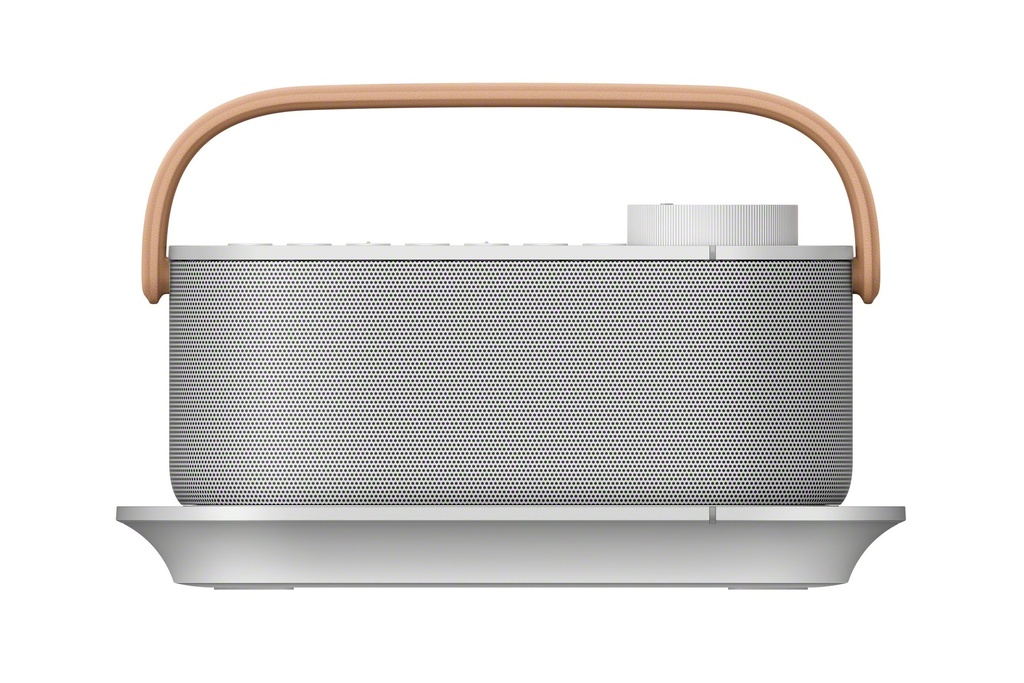 [SRSLSR200CE7] Sony SRSLSR200CE7 Wireless Bluetooth Speaker